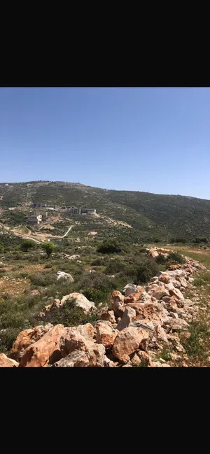 الاستخدام المتعدد . 27000 م٢ . المالك3