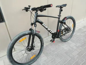 2025 Giant Talon for Sale (5 Times Used)