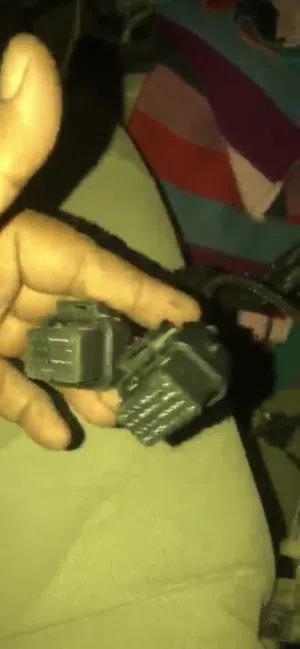 ضفيرة موتك