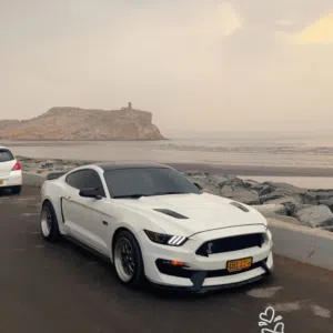 Used Ford Mustang in Muscat