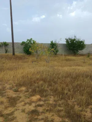 قطعة ارض 1000 متر في القويعة طريق البحر