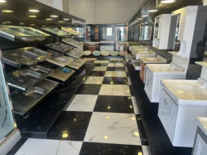 أدوات صحية عالية الجودة بأشكال وأنواع متنوعة