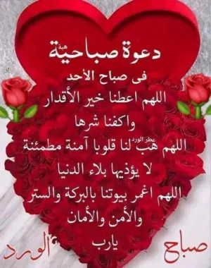 محمد صالح السودانى