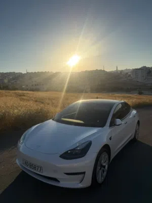 Used Tesla Model 3 in Amman