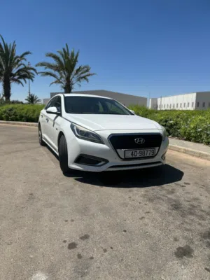 Used Hyundai Sonata in Amman