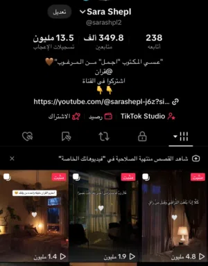 Social Media Accounts and Characters for Sale in Sharjah