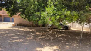قطعه ارض للبيع