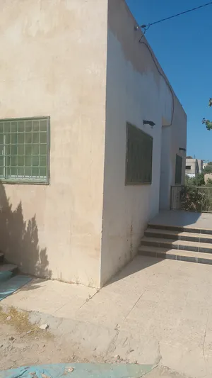 ‏أشجار - نباتات‏1