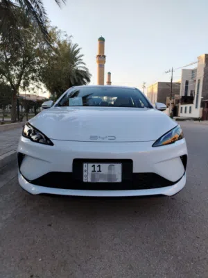 بي واي دي سيل فاي 2025