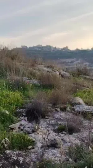 Mixed Use Land for Sale in Tulkarm Saida