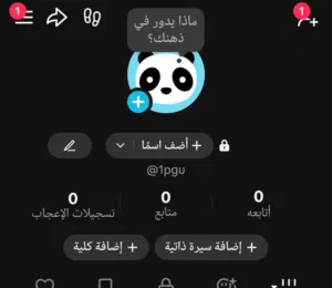 حساب رباعي فريش تيك توك الإمارات جاهز للاستعمال