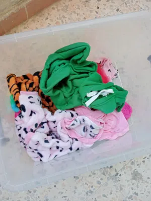 cat clothes