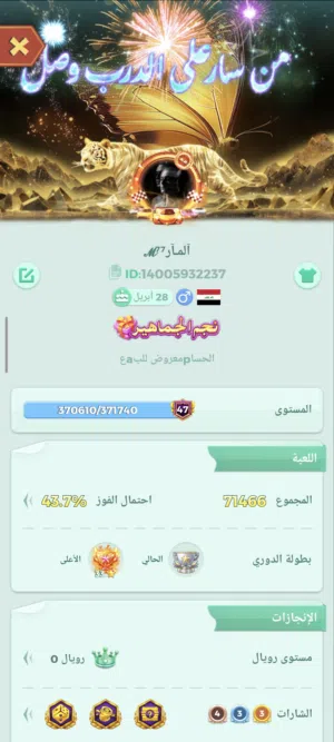 حساب لودو وصف مهم