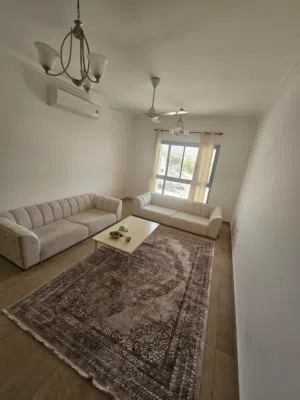 أريكة، سجادة، طاولة Sofa, carpet, table All together