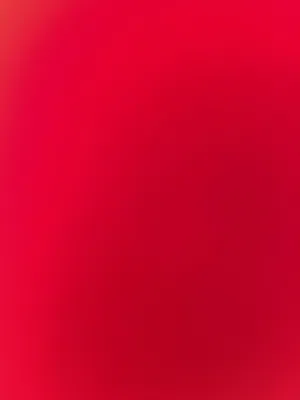 ابي اي طير للتبني