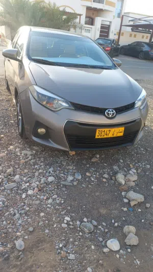 Used Toyota Corolla in Muscat