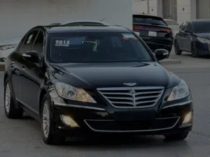 جينيس 2010
