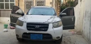 سنتافي 2007