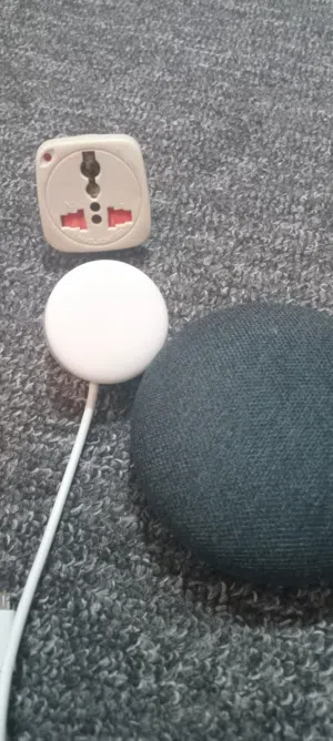 Google home