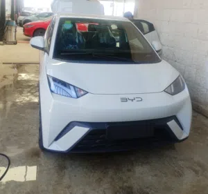 بي واي دي سيجال BYD Seagull Fly 2024