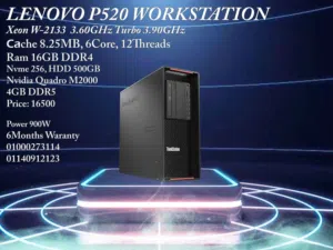 LENOVO P520 Workstation