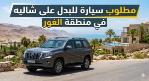 Used Tesla Model X in Amman