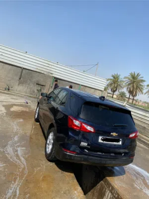 اكوينكس امريكي 20