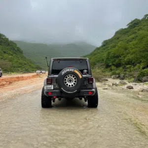الزعيم 