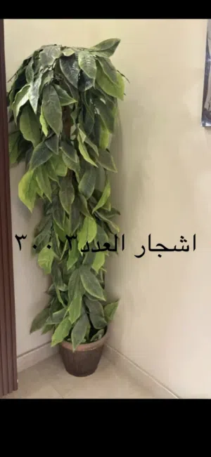 اشحار صناعية العدد 3