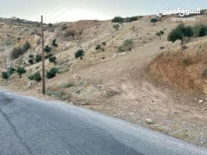 Residential Land for Sale in Amman Naour