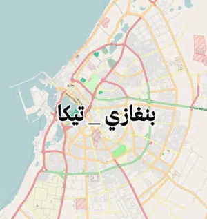 محمد بوزكره 