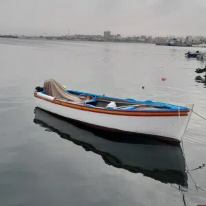 Alhashemi Ashraf 