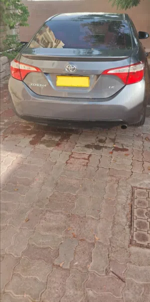 Toyota Corolla 2014