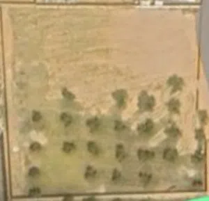 Commercial Land for Sale in Tripoli Al-Serraj
