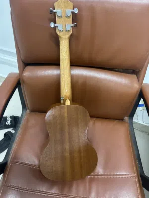 جيتار اوكليلي اربع اوتار