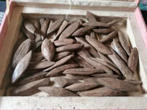 عود دبل سوبر مروكي