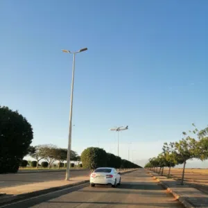 محمد 