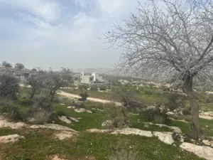 Mixed Use Land for Sale in Zarqa Birayn