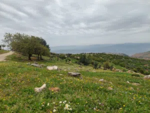 Residential Land for Sale in Ajloun Other