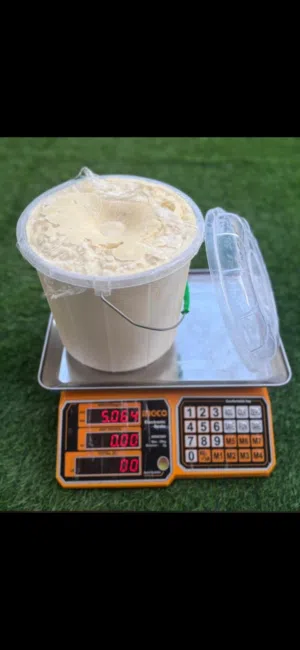 دهن بقر وغنم