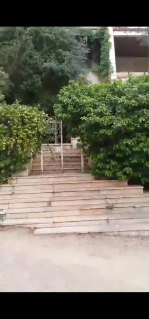 More than 6 bedrooms . 3 Bathrooms . 950 m24