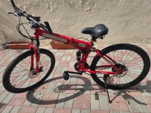 Gear and Foldable Cycle