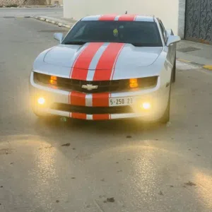 مءلك ءلشيبءني 