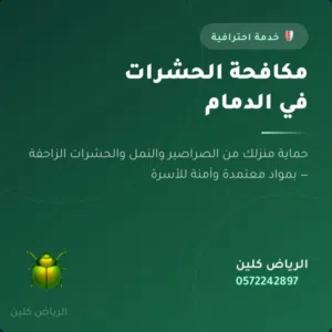 شركة الرياض كلين متخصصة في خدمات مكافحة الحشرات والآفات ورش المبيد مع الضمان وخبرة 15 عامًا.