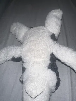 دمى كلب 2022 ikea