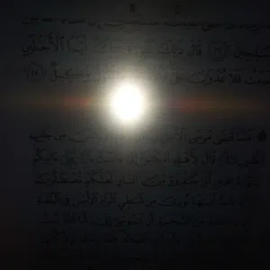 mohamed abdelmeged