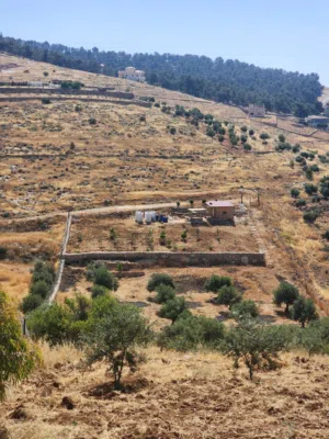 مزرعه للبيع نادره خربت المطوي