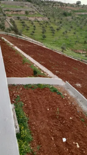 Farm Land for Sale in Zarqa Al-Alouk