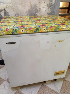 مجمدة للبيع