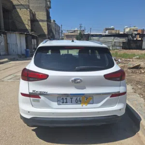 توكسان ابيض